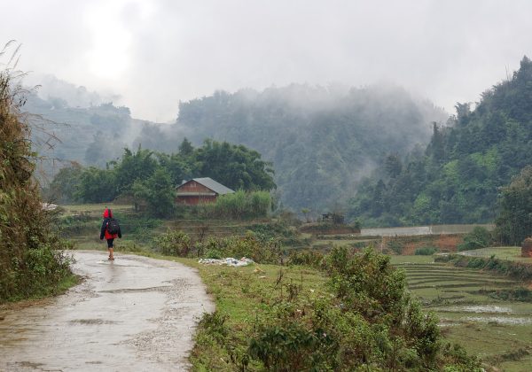Ruộng bậc thang Sa Pa